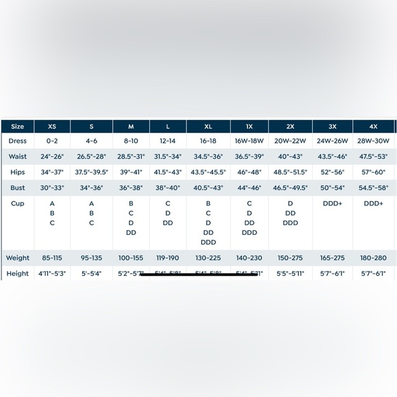 Rhonda Shear Seamless Bra with Lace Inserts - Picture 5 of 5